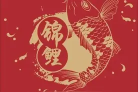 惊喜大爆炸，锦鲤附体了解一下？图片