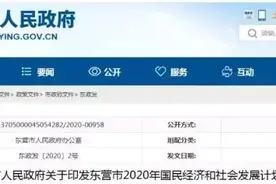 规划1000万吨炼化一体化项目！东营市2020年将有大手笔图片
