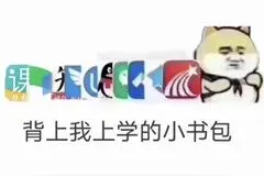 网课专用表情包：背上我上学的小书包，今天你钉钉了吗图片