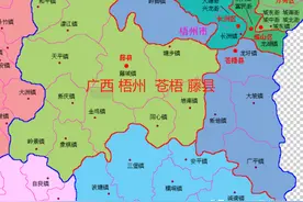 广西梧州苍梧9镇、蒙山9镇、藤县17镇人口、土地、工业…基本统计图片