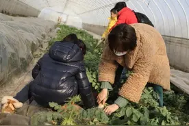 孙俪一家四口出游，小花马尾好长9岁等等爬墙头，她穿皮草开三轮图片