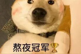 表情包：熬夜冠军（53）图片