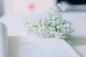秒回，是一个人最好的温柔图片