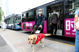 感人！太原一只导盲犬陪着主人住医院图片