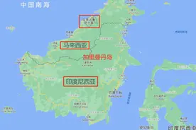 消失125年，巴拉旺角鸮重现婆罗洲，灭绝物种也能出现吗？图片