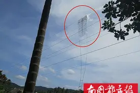 万万没想到！超大风筝挂上万宁一处高压线以后…图片