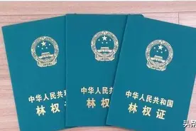 福建省林权登记条例图片