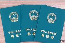 福建省林权登记条例图片