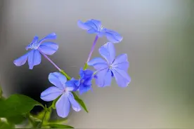 写给有女儿的家庭：这些道理你要早点明白，最好收藏起来图片
