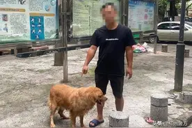 遛狗不栓绳还任其随地大小便？柳州又一男子不文明养犬被罚款图片