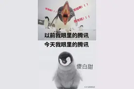 老干妈和憨憨企鹅的后续：差点笑死人图片