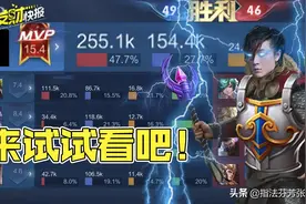“重装流”永远滴神！47%输出27%承伤，选对装备上分你也行图片