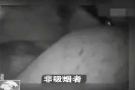 戒了烟，被熏黑的肺会白回来吗？患肺癌的概率是否会下降？图片