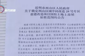 占地724亩 南亚商圈附近一城中村正式启动拆迁图片