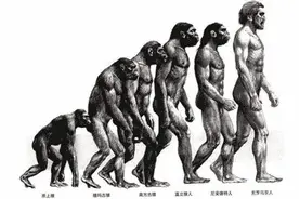 生物进化论漏洞实在太多？我们到底是怎么来的图片