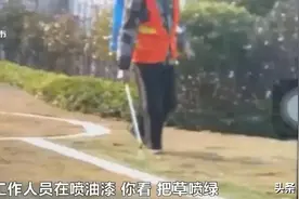枯黄草皮喷液体变绿，长沙一小区业主质疑喷绿油漆图片