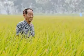 一首泪别袁爷爷，表达我们悼念袁爷爷之情图片