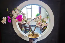 你千万不要见怪，城市是一个几百万人一起孤独生活的地方图片