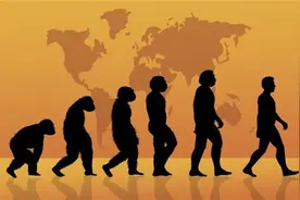 为何欧美人有206块骨头，亚洲人只有204块？少的2块去哪儿了？图片