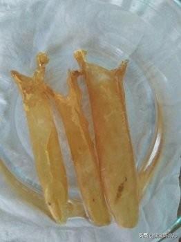 产后花胶炖什么好 2026年产后花胶配什么煲汤最好