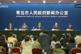 每天工作到后半夜的副市长参加发布会，透露一个省委书记的要求图片