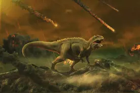 为什么越是强大的生物越容易灭绝？《道德经》里有最好的答案图片