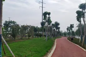 项城老铁路公园建设近况图片