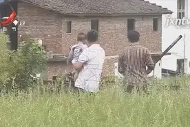 抚州：20亩农田被征收后荒废14年，村民无田可种：这是浪费图片