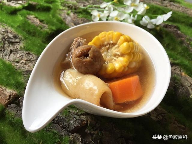 海马花胶炖鸡备孕 2026年海马花胶炖鸡备孕能吃吗