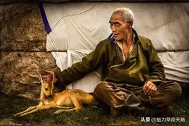 游牧文化与智慧：蒙古人怎样爱护自然生态和畜牧业图片