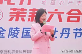 “农业+旅游”“农业+文化”融合发展图片