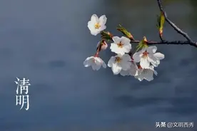 【清明网络寄语展播】清明雨上，你在思念着谁？图片