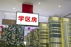 731政策落地，学区房价骤降30万！哈尔滨实行多校划片概率有多大?图片