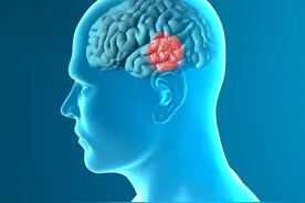 重磅！华人团队揭示多巴胺在抑郁症发病中的作用图片