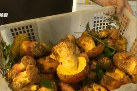 吃野生菌诱发痛风？专家提醒这几类人食用需谨慎图片