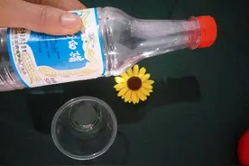 白醋和风油精配合一起，蚊子，黑飞虫，异味，烟味都不会再靠近你图片