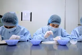 燕窝是怎么形成的？看完燕窝加工全过程，你还敢吃吗？图片