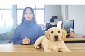 1招教你分辨，4类狗狗不能吃的东西，我猜这是你们想要的视频封面