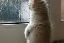 “清明时节雨纷纷”！大雨雷暴在路上了！珠海将现强对流天气！图片