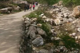 芳菲四月野线穿越少林寺图片