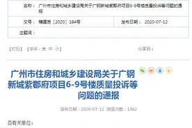 地产项目被曝质量问题 葛洲坝面临规模瓶颈与品质监控双重困局图片
