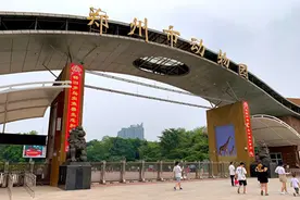 来这，找寻儿时回忆，体验互动投喂新玩法图片