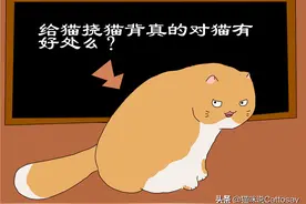 猫真的喜欢铲屎官挠猫背么？猫不仅喜欢，对猫还有2大好处图片