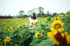 搞定一个中年女人的最佳方式：贝尔效应图片