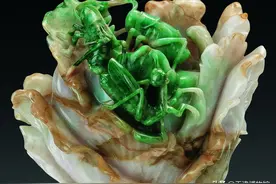 比台北故宫博物院珍藏的“大白菜”品质还要好的清翡翠蝈蝈白菜图片