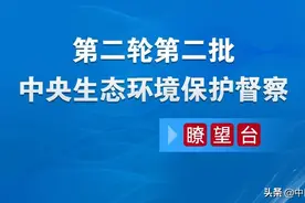 这两家央企为何被纳入中央生态环保督察范围？图片