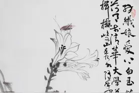 他取齐白石笔意，笔下的草虫天趣胜人图片