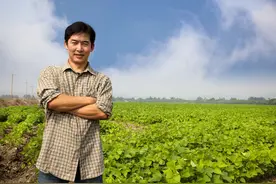 农村长期打工和常年种地的人，有4点不一样，一眼就能看出来图片