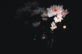 私处皮肤黑怎么办？图片
