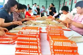社旗大冯营镇：党旗如炽映初心图片